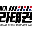 한국체대 아라태권도장 이미지