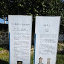 전방마을 | 여수 여행 그림 같은 바다 전방! 고소동 벽화골목 나들이 다녀왔어요.