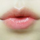 핑크로즈553 이미지