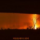 자작마을 이미지