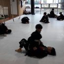 용인대석사복싱 이미지