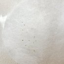 퀸즈헤나전문샵정량점 | [서울] 마곡피부관리샵 ’채움미 에스테틱‘ 문제성피부 디톡스케어 후기