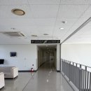 경희대학교 국제대학원 | LOGODI global forum 참여 후기!