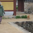 뽀삐뽀삐 이미지