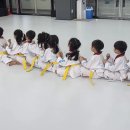 국가대표 별빛 태권도장 이미지