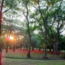 계림공원 | 경주여행 1박2일 코스 1일차 뚜벅이 후기, 대릉원 계림길 월정교 첨성대 동궁과월지 소품샵