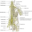 서울안아픈세상의원 이미지