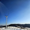 영하목장 | 평창 가볼만한 곳~ 겨울눈을 마음껏 즐겼던 대관령 하늘목장 방문후기