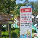 여성가족공원 물놀이장 이미지