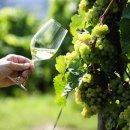 넘버에잇 이미지