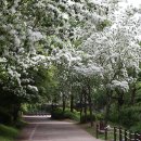 송내대로 포도마을 이미지