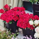 (주)가락용현공판장 | 양재꽃시장 17년째 운영 중인 양재동꽃집 화란플라워 꽃다발 후기