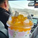요거프레소안성양성점 | 시원달달 메리망고 요거프레소 안성양성점