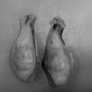 태산동물병원 이미지