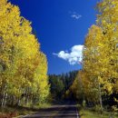 한글문서작성 이미지