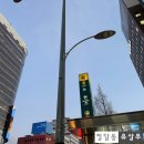 진동둔횟집 | [논현동 진동둔횟집] 논현역 부근 콜키지 프리 세꼬시 명가