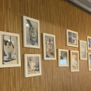 한사랑펫 이미지