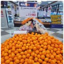 전주마트 | 전주 홈플러스 폐점 이후 장보기고민끝! 지하 식품관 솔직후기 전주 대형마트 세이브존 전주코아점