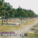 푸른바다와캠핑