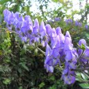 백우주유소 이미지