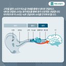 시그니아독일보청기 수영센터 이미지