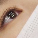 에디뷰티 이미지