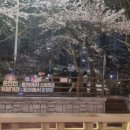 온천천일대4 이미지