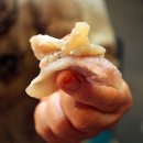 대인홍어 이미지