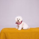 더엠패밀리 - 아산시 삼동로40번길 25 | 더엠패밀리