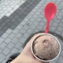배스킨라빈스보령동대
