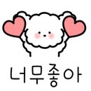 금화애견 이미지
