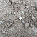 용성농장 이미지