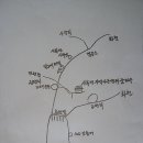 꿈마을지역아동센터 이미지