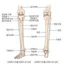 YOLO GYM 이미지
