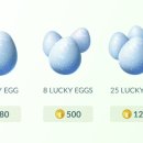 경우체육관 이미지