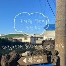 책닦는남자 | [제주 숙소]책닦는 남자 북스테이
