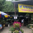 이집이좋겠네 이미지