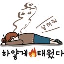 일 신 재 이미지