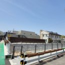 녹차골 보성식당 이미지