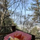 약수터 옆 이미지