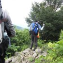 정고개농장 이미지