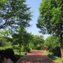 부천원일초 이미지