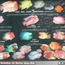 플라워 짐 이미지