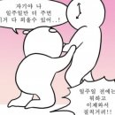 양식조리기능사 | 양식조리기능사 필기 독학 1트 합격 후기 + 공부법, 팁 공유