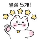하늘고래 카페