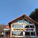 양지팬션 | 용인양지맛집 금황옻닭 아시아나CC맛집 한방백숙 몸보신 후기