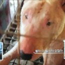 인숙농장 이미지