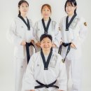 표선태권도장 네이버블로그