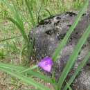 직지성보박물관 이미지