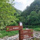 삼척활기치유의숲